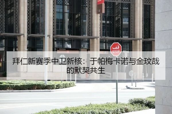 拜仁新赛季中卫新核：于帕梅卡诺与金玟哉的默契共生